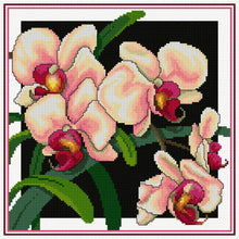 Load image into Gallery viewer, Pink Phallys Material Pack  - Country Threads FJP-2010-12
