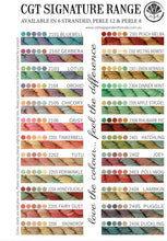 Load image into Gallery viewer, Cottage Garden Threads - Tropic Sea Stranded 210
