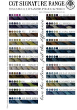 Load image into Gallery viewer, Cottage Garden Threads - Salvia Stranded 801
