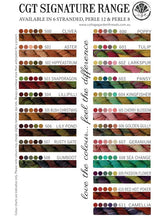 Load image into Gallery viewer, Cottage Garden Threads - Clivea Stranded 500
