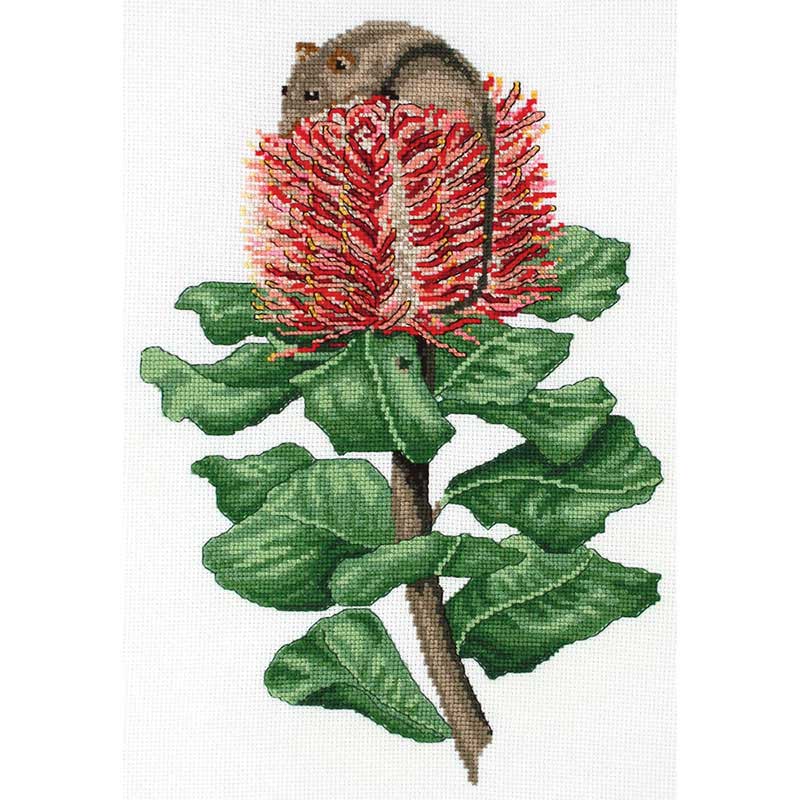 DMC Cross Stitch Scarlet Banksia & Honey Possum