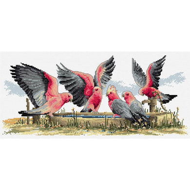 Galahs by the Waterpump Cross Stitch Chart Country Threads