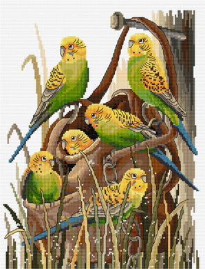 Bush Budgies Cross Stitch Chart Country Threads