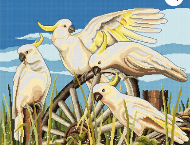 Cartwheel Cockatoos Cross Stitch Chart Country Threads