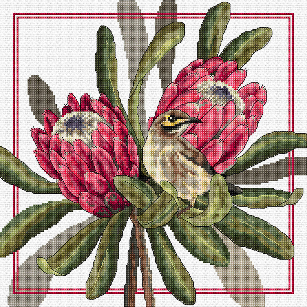 Proteas and Honeyeaters Cross Stitch Chart Country Threads